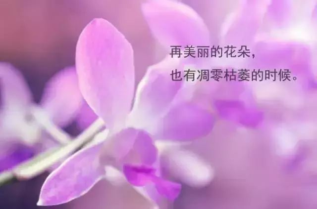一味索取,不懂付出;一味任性,不知让步;到最后必然输得精光.