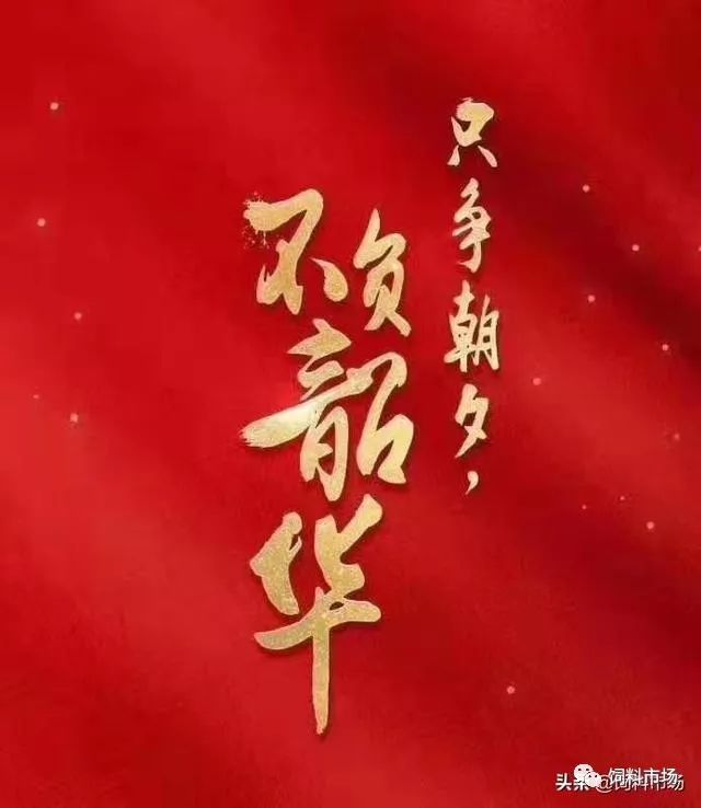 头条‖只争朝夕,不负韶华