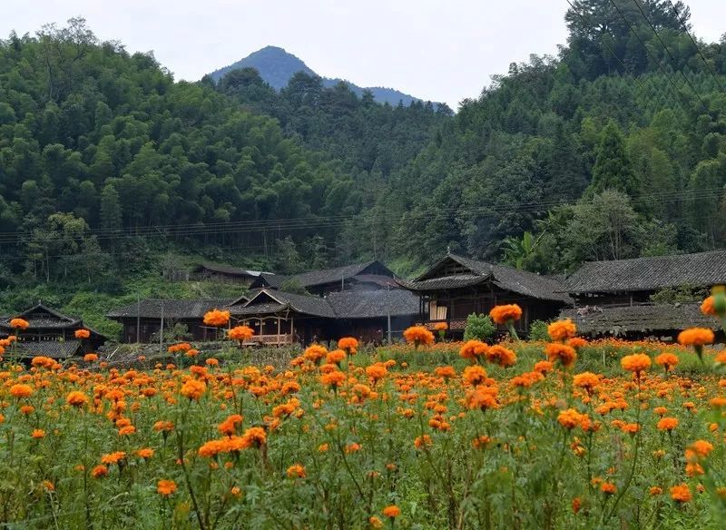张家界牧笛溪村人口_张家界牧笛溪村图片