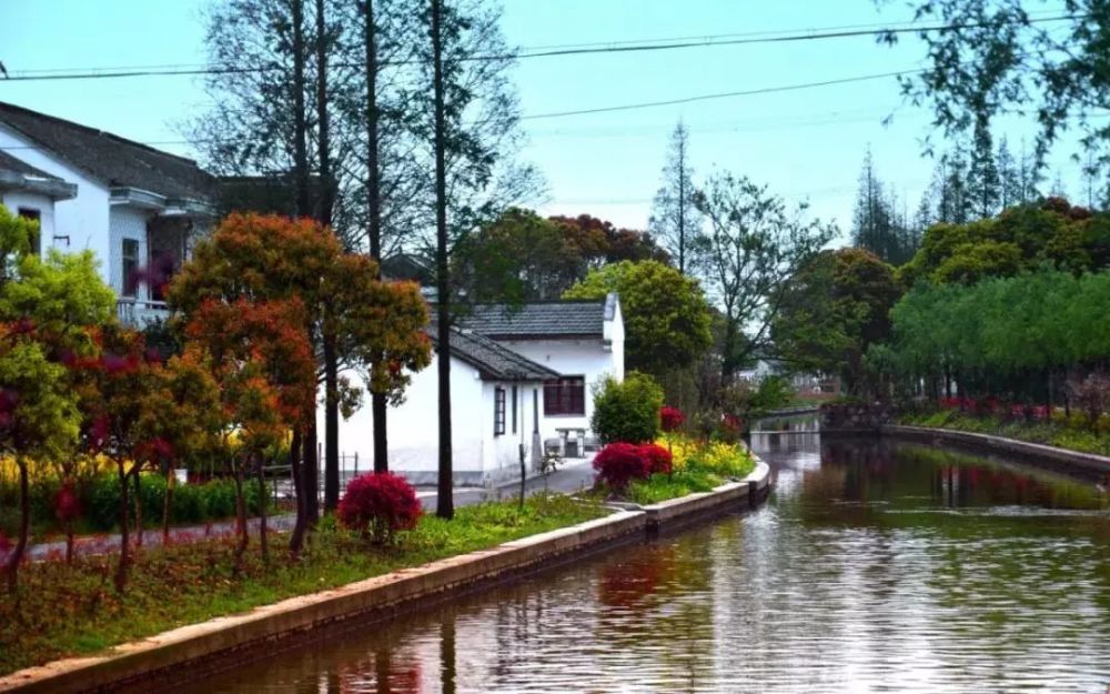 青浦区朱家角张马村,淀峰村和夏阳街道塘郁村三个国家森林乡村,你都去