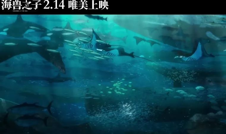 日本版"大鱼海棠"情人节来袭 《海兽之子》中国版预告