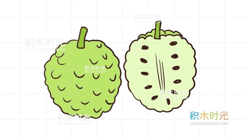花期5-6月,果期6-11月.
