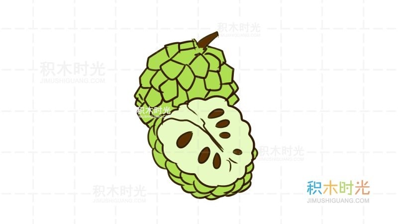 花期5-6月,果期6-11月.