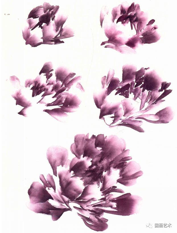 图文教程:教你十招画好写意牡丹的花头