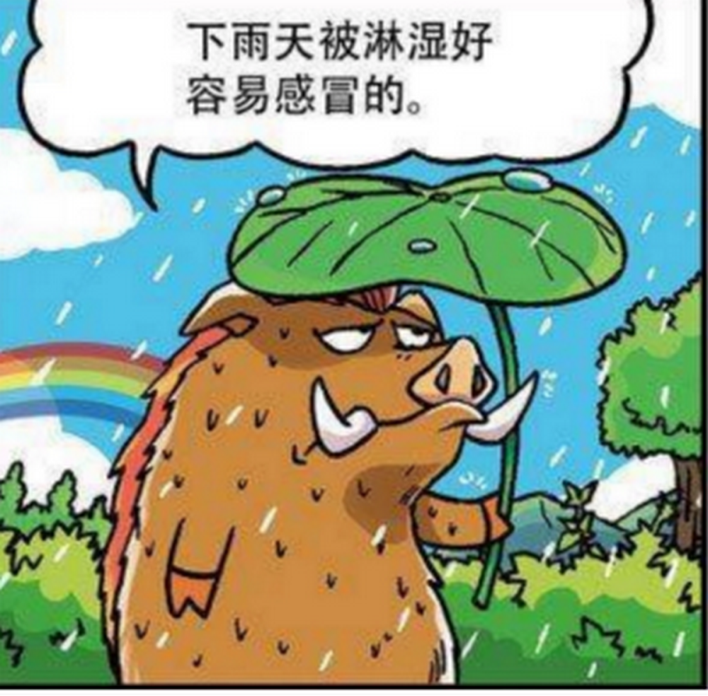 爆笑一刻:小野猪被雨淋湿,呆头好心帮它烘干身体,没想到呆头还是另有