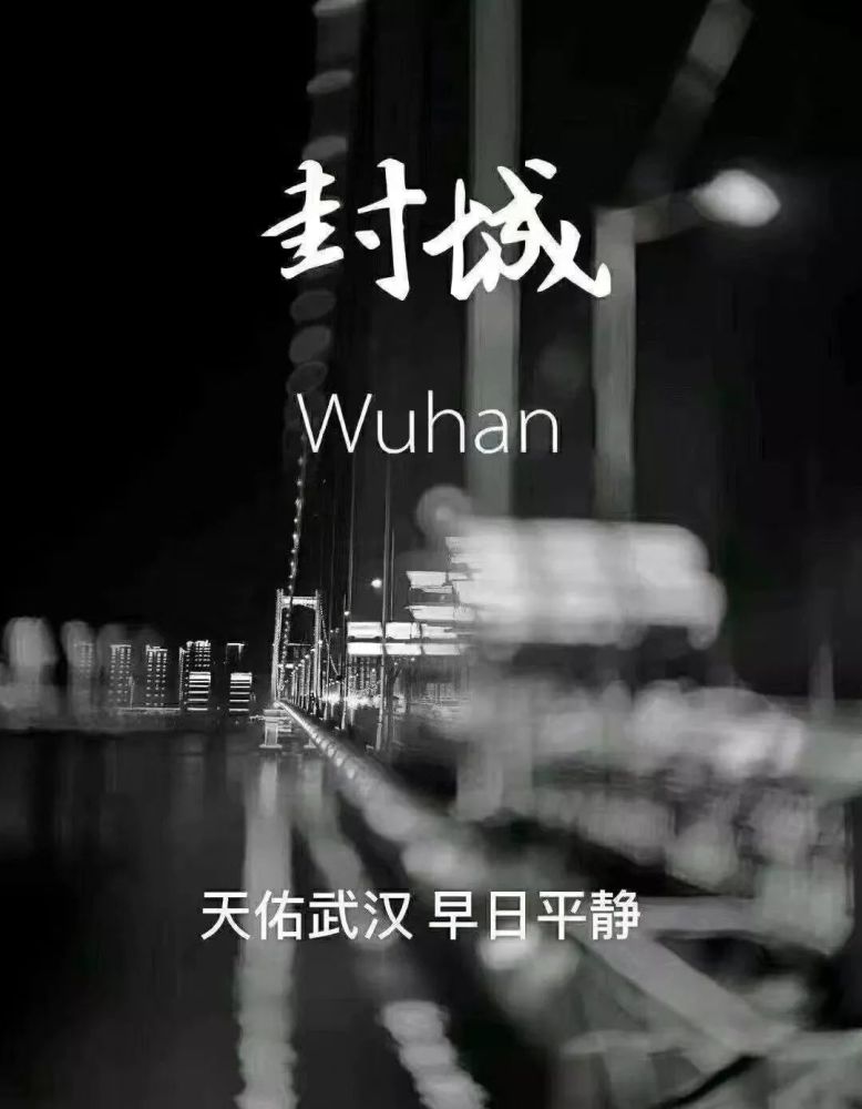 武汉封城!芜湖市应急指挥部发布