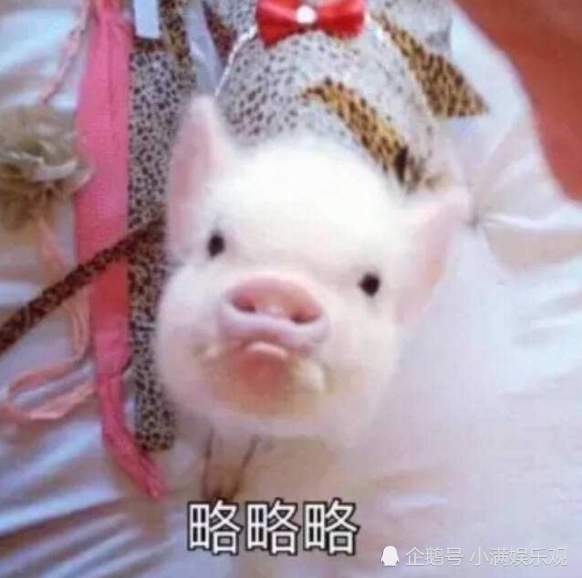 可爱表情包:你的脖子真可爱,上面顶着一颗猪脑袋