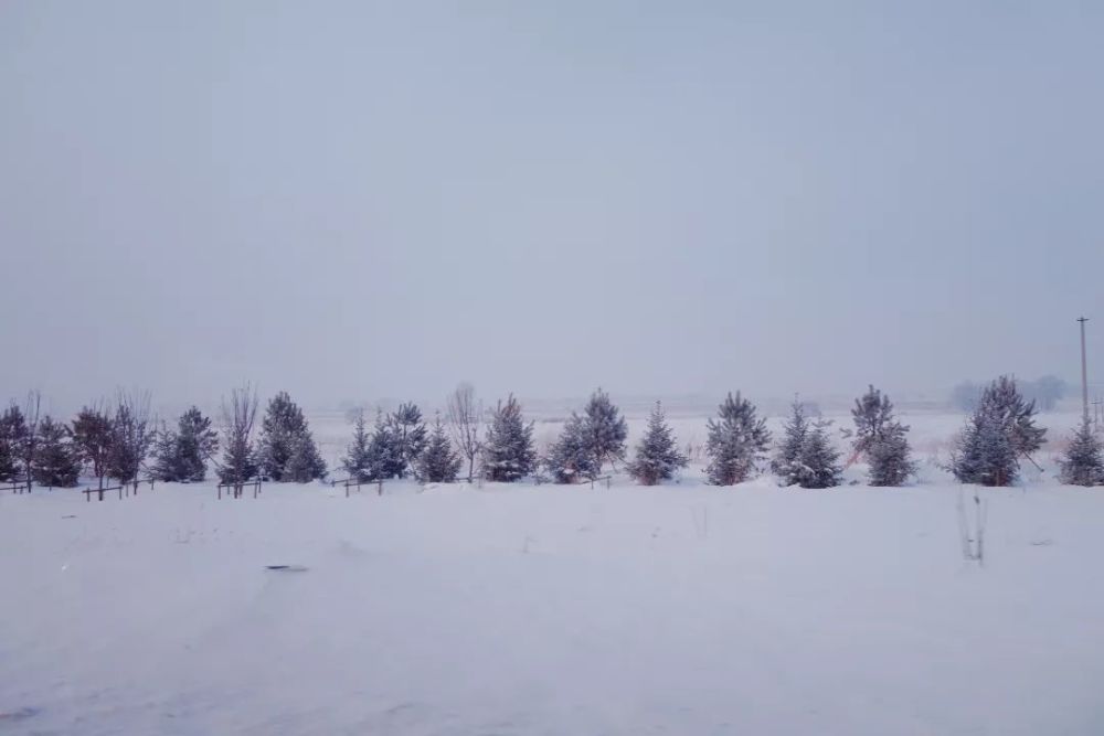 没有下雪的冬天,天空布满遗憾 | 梦境