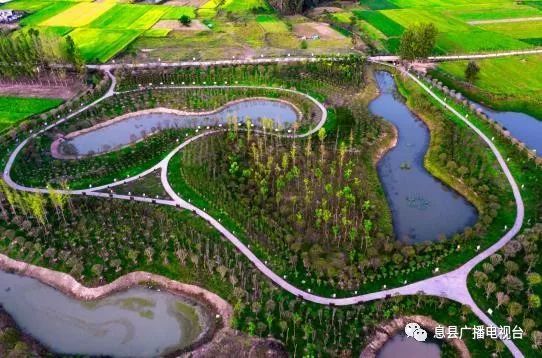 息县淮河国家湿地公园于2015年12月经国家林业局批准进行试点建设