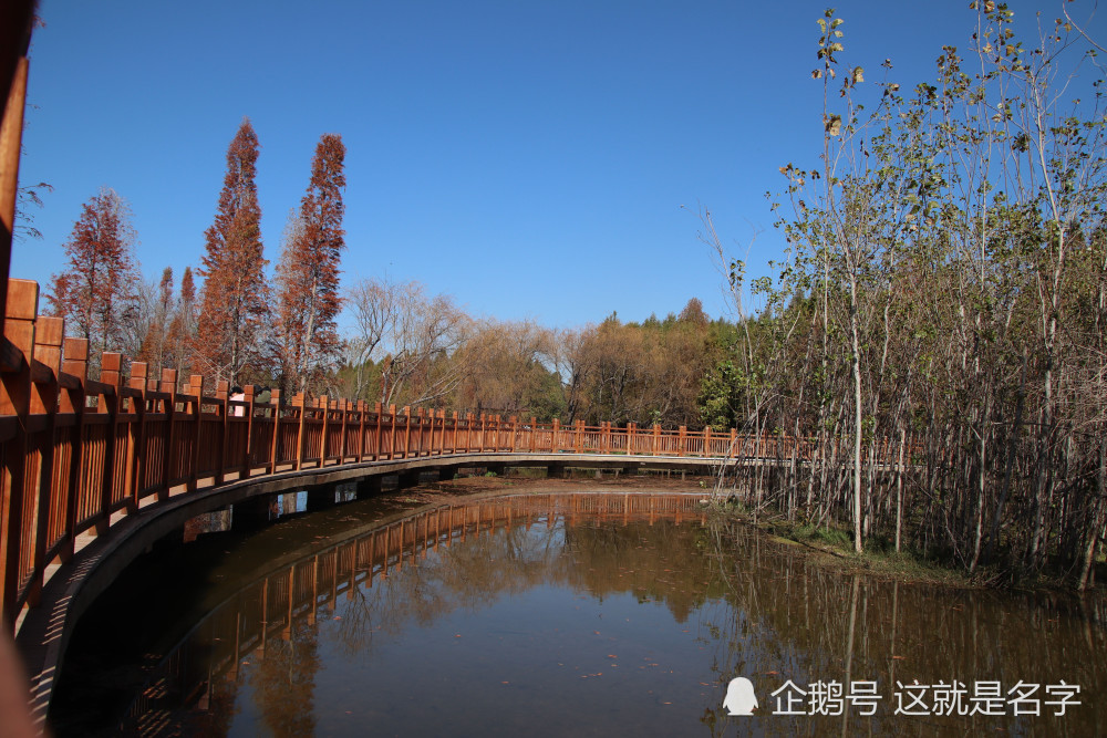 过年新去处——昆明海洪湿地公园