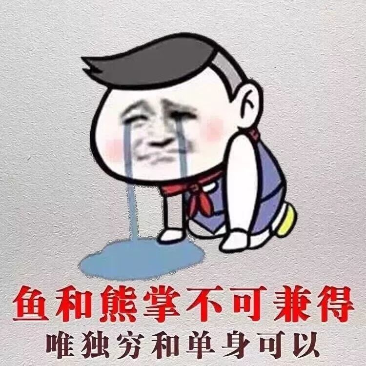 鱼和熊掌不可兼得,唯独穷和单身可以