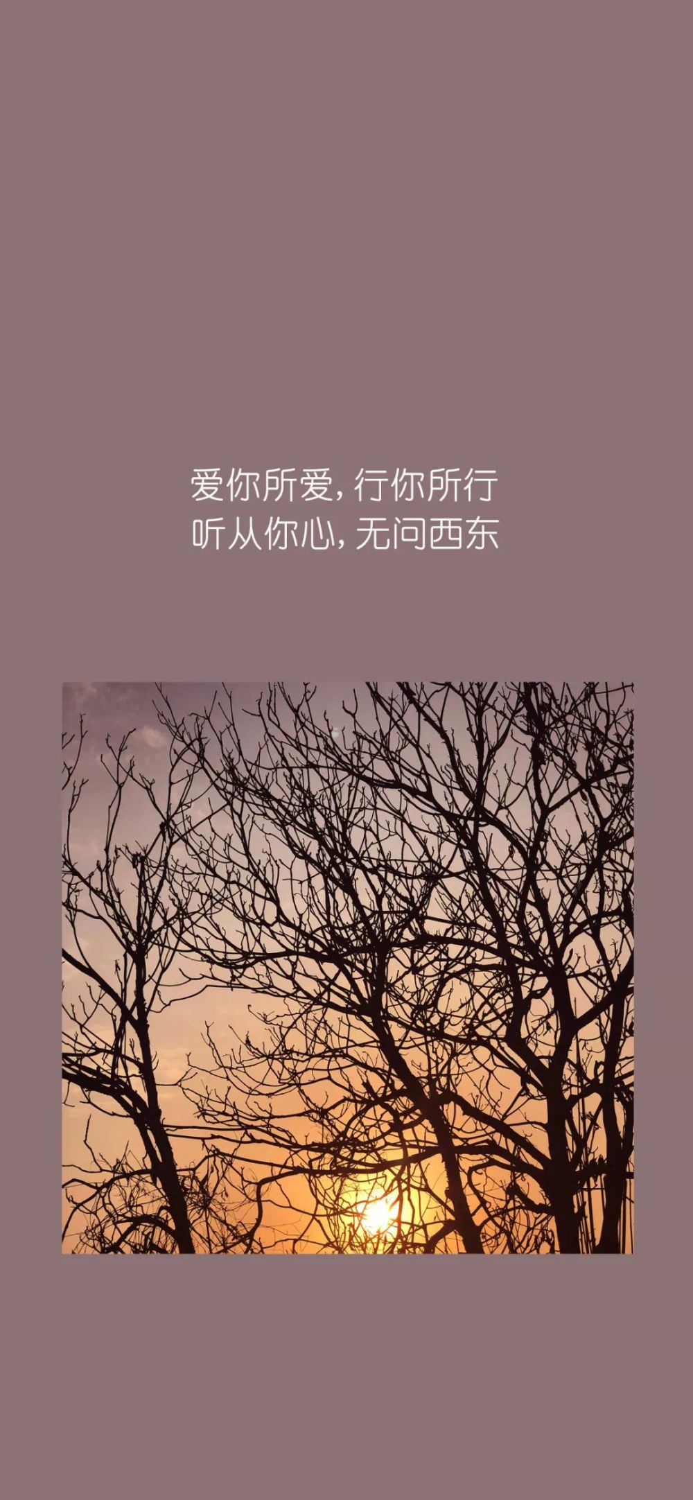 壁纸,背景图:有些人,一旦错过,后悔莫及