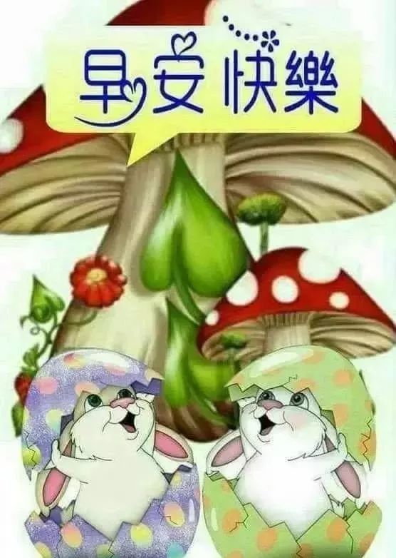 大年初一早上好问候动态鲜花图片带字 清早祝福图片温馨