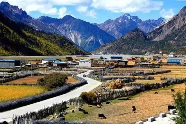 地址:西藏自治区林芝市波密县波普乡