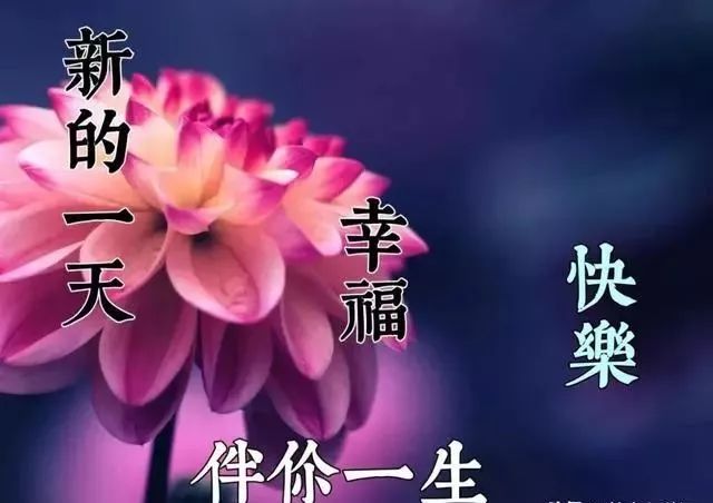 2月14日大年初三清晨最棒早上好问候表情祝福语录 最美早上好祝福美图