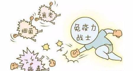 最近两年名声大噪的减脂补剂――共轭亚油酸