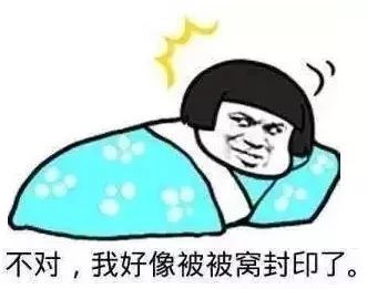宅在家,用这些绘本来重建