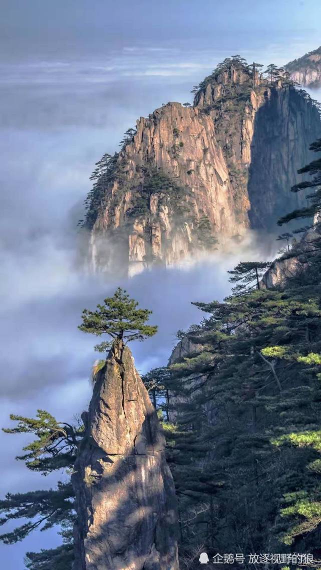 黄山有着丰富而典型的地质景观,植物群落完整垂直分布,也是世界文化与