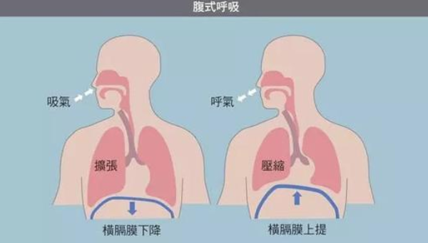 你真的了解腹式呼吸吗?练瑜伽需要掌握呼吸法