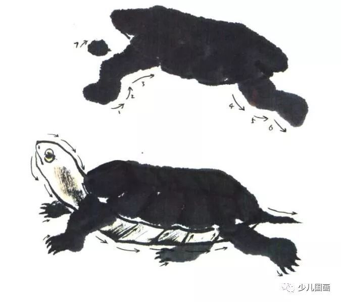儿童国画教室 水族:乌龟的画法