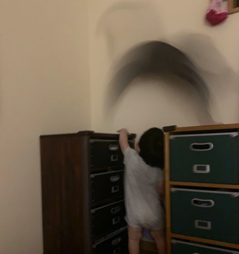 网友说自家猫咪长得有点奇怪,但又说不上来哪