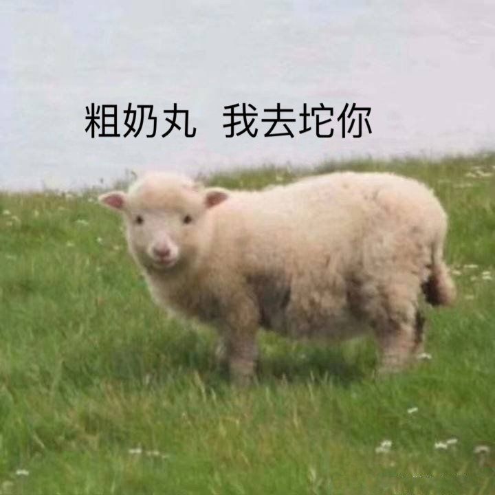 沙雕表情包:粗奶丸,我去坨你!