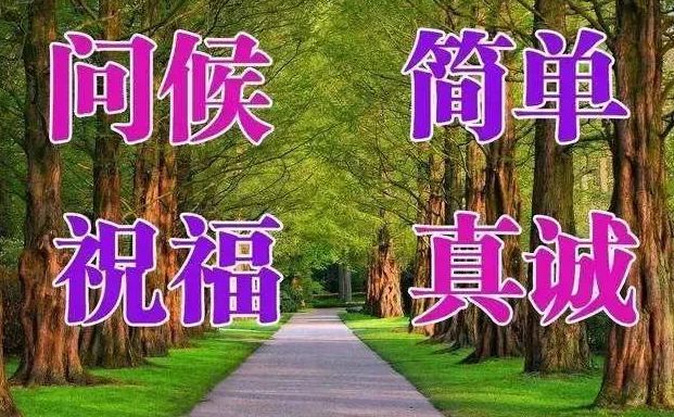 最美早晨好问候动态表情鲜花图片_腾讯新闻