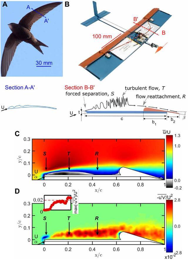 气流分离翼型解决了气流波动问题 图片来源:布鲁尔实验室/布朗大学
