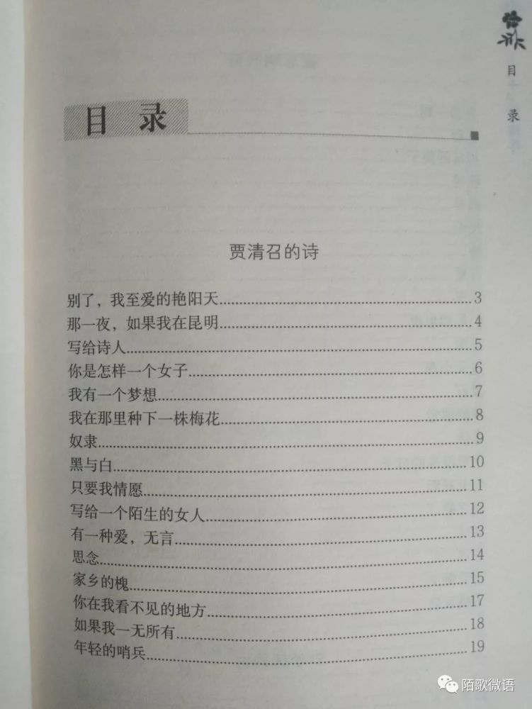 最后,我不得不提一下这本诗集的作者之一——00后小诗人张天祥(笔名