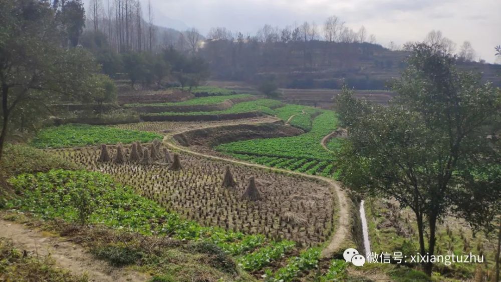 冬季在西乡县杨河镇看瀑布,登高山,观云海