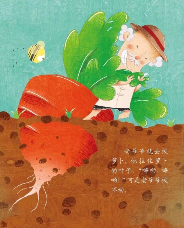 故事讲述的是老公公种点儿萝卜,到了收获的季节,有一个非常大的萝卜