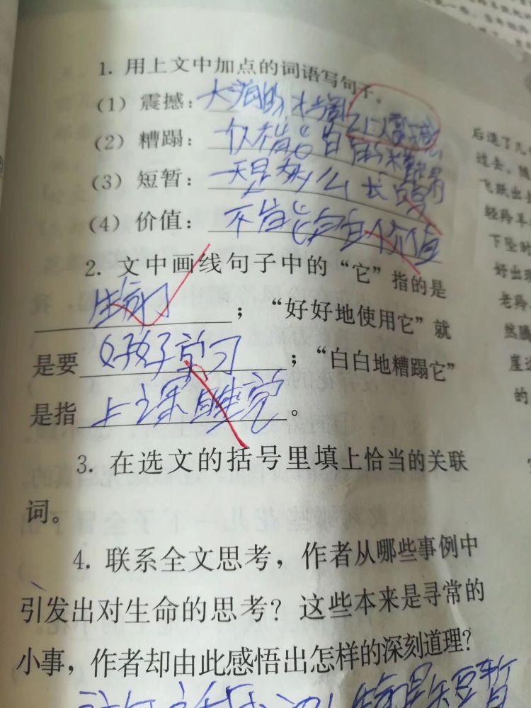 小学《生命生命》文章后的练习题