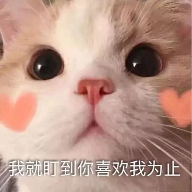 超撩人表情包,快学起来