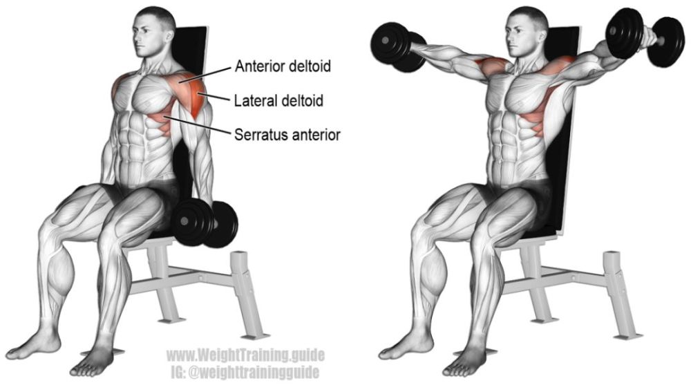 束肩什么成语_成语故事简笔画(3)