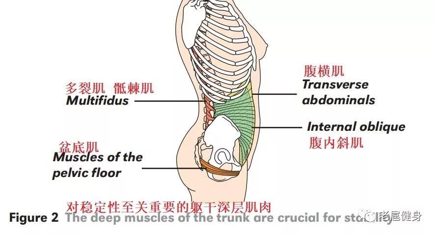 习得书中有趣的几个内容