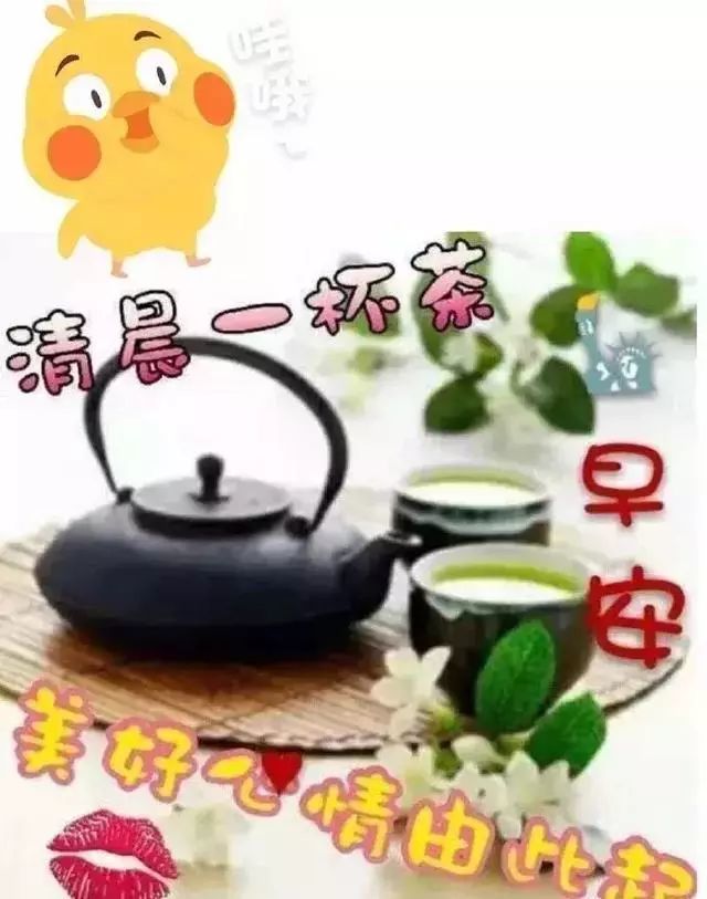 大年初九朋友圈治愈人心早上好鲜花问候,早晨好温馨祝福语录2020最新