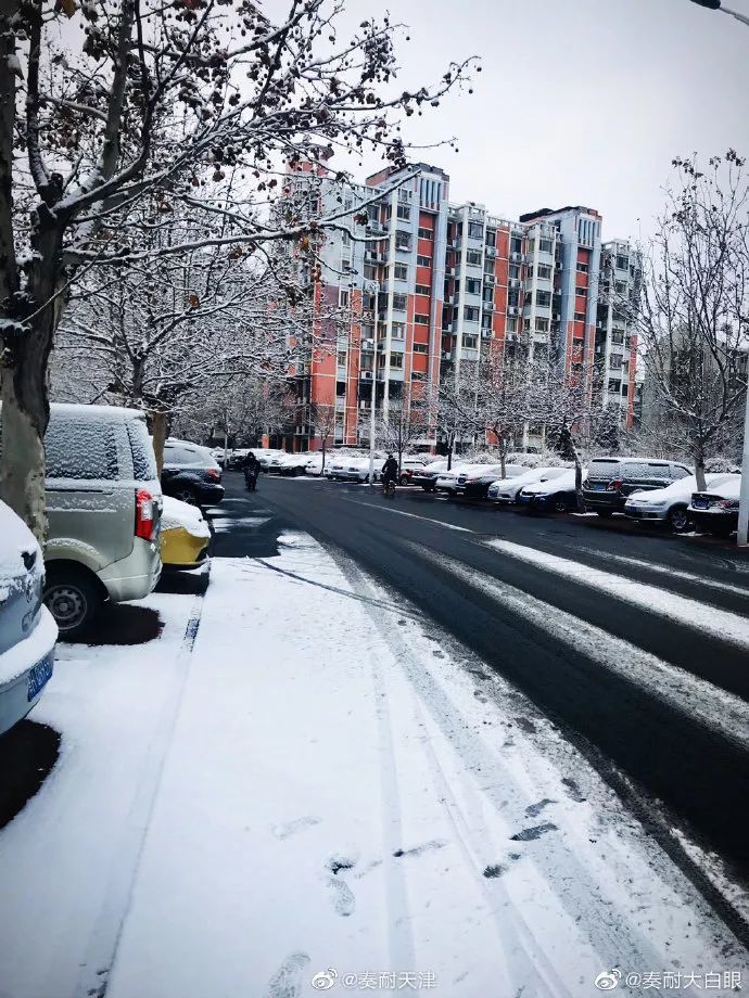 下雪啦!不能出门,带你看天津的雪景,美爆了