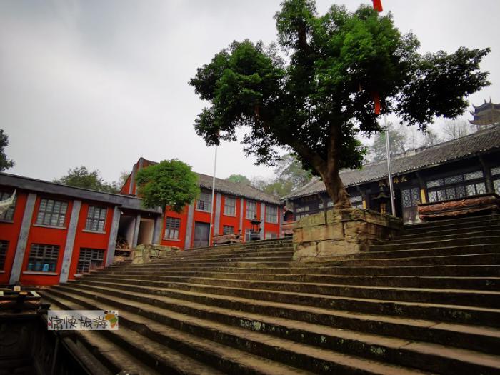 自贡市人口有多少人口_自贡市地图