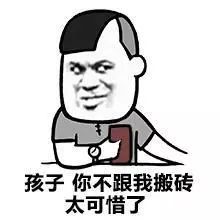 表情包:做什么白日梦,赶紧去搬砖!