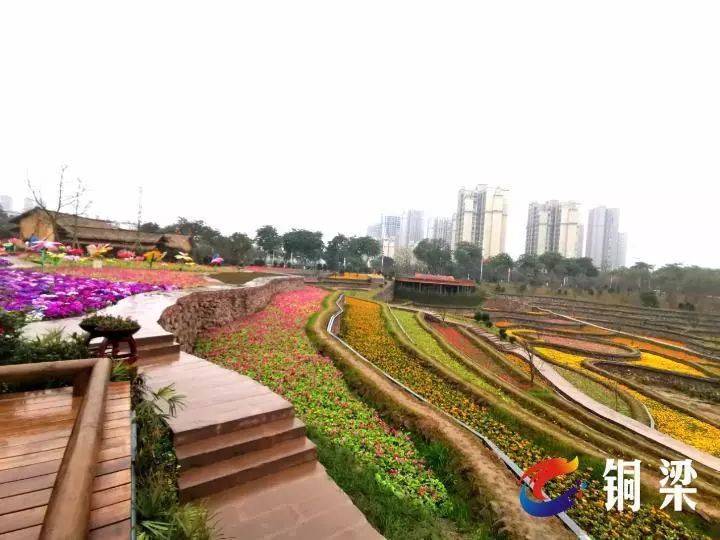 铜梁见水公园