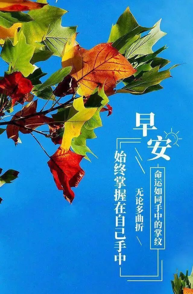 腾辉传媒早安心语| 人最大的对手,就是自己的懒惰