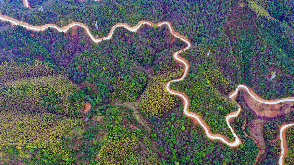 江西吉安:航拍富足村竹富公路 蜿蜒盘旋景致独特