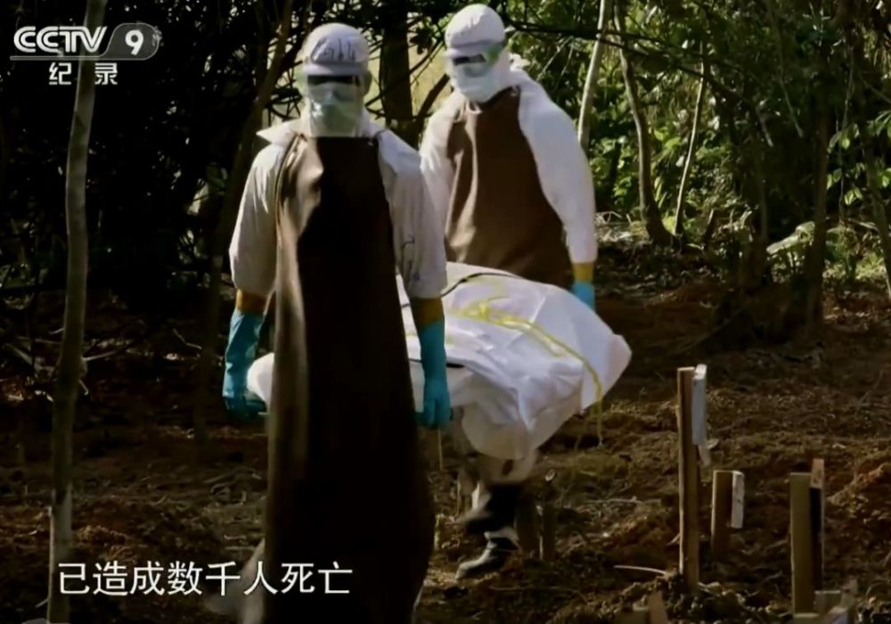 图片来自央视纪录片《埃博拉之役》