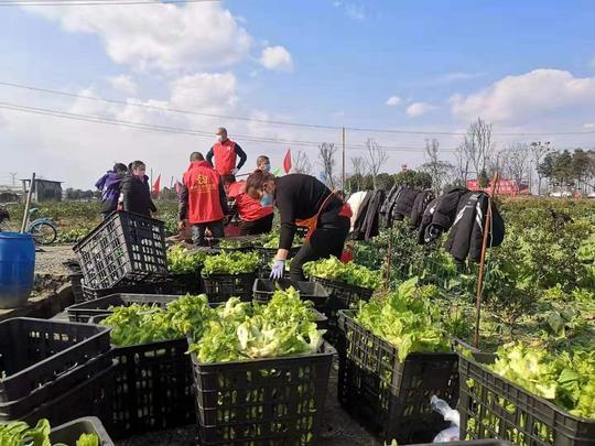 郫都区2019各镇gdp_郫都区