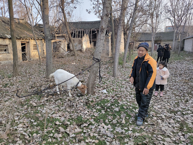 请欣赏:一组河南农村的老房子照片