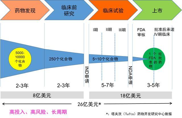 新药研发流程图 图片作者提供