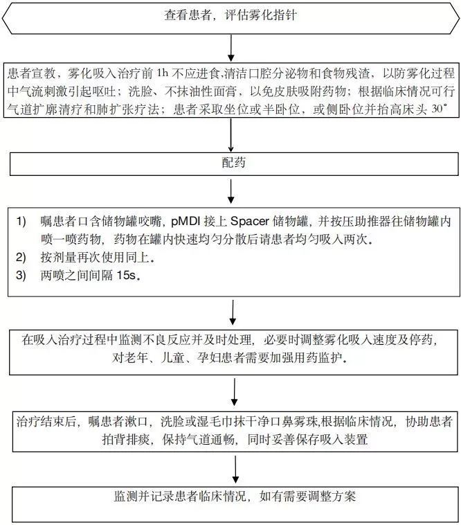 2 不同雾化吸入治疗方式/不同患者的操作流程