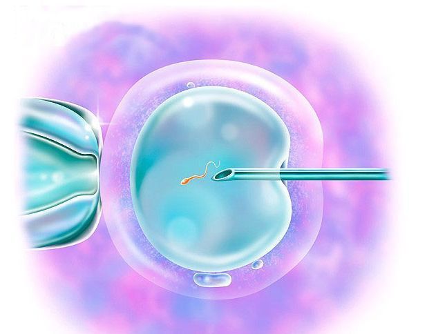 试管婴儿中的"冻胚"和"鲜胚"有啥区别?为啥医生不让你