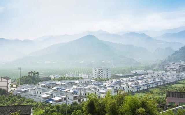 开州城区人口_人口普查(2)