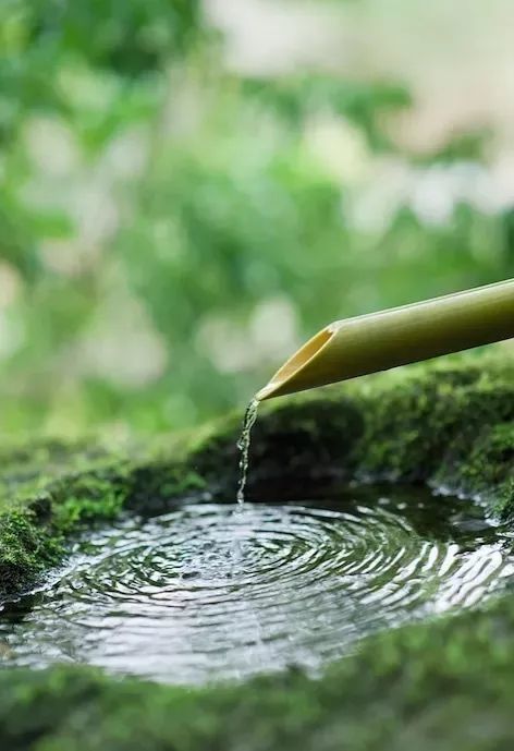 唯美佛乐:春有百花秋有月